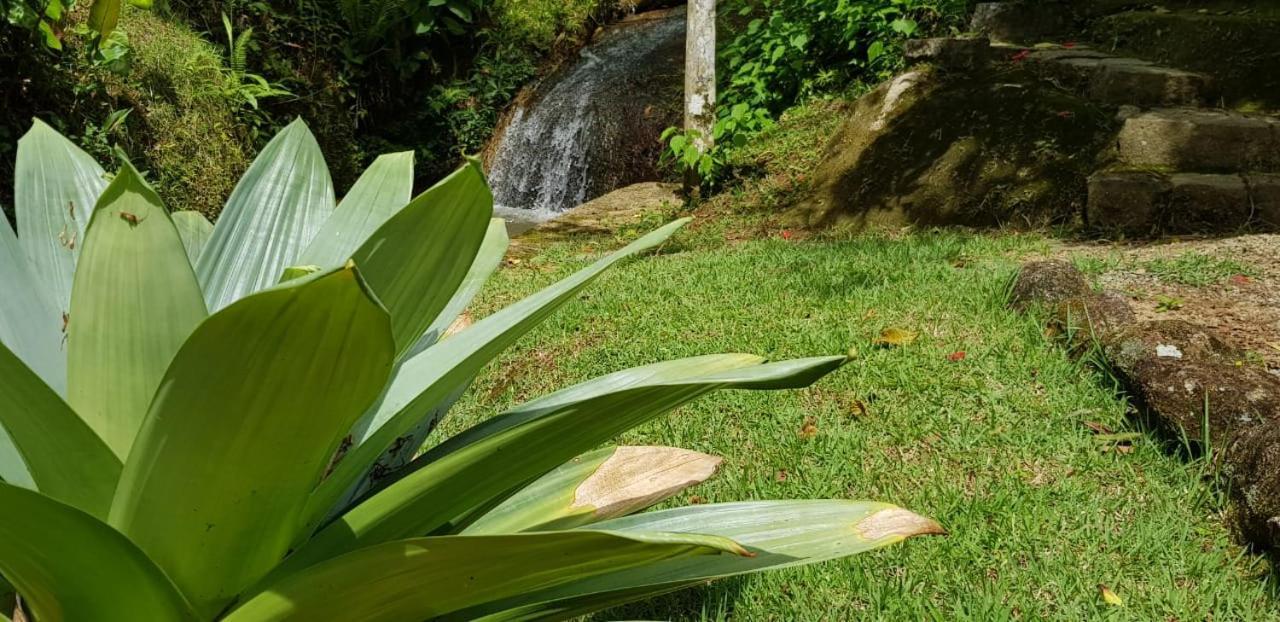 Pousada Vertente Das Aguas Lumiar Dış mekan fotoğraf
